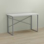Письменный стол Ferrum-decor Дейв 76x100x70 серый ДСП Белое 32мм (FRD-102393)