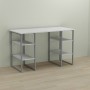 Письменный стол Ferrum-decor Карэн 75x120x60 серый ДСП Белое 16мм (FRD-102418)