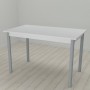 Стол кухонный Ferrum-decor Бенита 75x120x60 Серый ДСП Белое 16мм (FRD-106269)