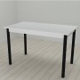 Стол кухонный Ferrum-decor Бенита 75x120x60 Черный ДСП Белое 16мм (FRD-106272)