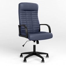 Кресло поворотное DIRECTOR ANYFIX PL62 ECO-22 (Синий) (NWS-125902)