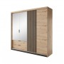 Шкаф полукупе Perfect Home Талли / Tally 4-дверный с зеркалом 4D2S/220 Дуб артизан/антрацит (PFH-091097)
