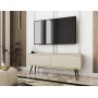 Тумба под телевизор Perfect Home Оро/Oro 2-дверная с черными ножками RTV135 Бежевый (PFH-091326)