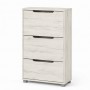 Тумба для взуття з ящиками LION ТО-2 70,4x28,2x123,4 см Дуб Крафт Білий (LION-045332)