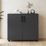 Комод Doros Торн Антрацит 2 ДСП 90х51.6х80 (DRS-012086)