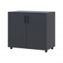 Комод Doros Торн Антрацит 2 ДСП 90х51.6х80 (DRS-012086)