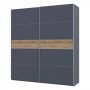 Шкаф купе Doros G-Caiser Антрацит / Антрацит вставка Дуб Эвок 2 ДСП / 5 частей 220х60х240 (42005420) (DRS-012253)