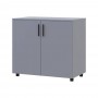 Комод Doros Торн Сірий 2 ДСП 90х51.6х80 (DRS-012090)