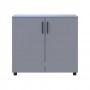 Комод Doros Торн Сірий 2 ДСП 90х51.6х80 (DRS-012090)