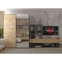 Шкаф купе Doros G-Caiser Антрацит/Дуб Евок 1 ДСП / 1 дзеркало / 3 частини (42005413) (DRS-012246)