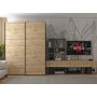 Шкаф купе Doros G-Caiser Антрацит/Дуб Эвок 2 ДСП / 3 части 160х60х240 (42005414) (DRS-012247)