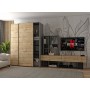 Шкаф купе Doros G-Caiser Антрацит/Дуб Эвок 2 ДСП / 3 части 160х60х240 (42005414) (DRS-012247)