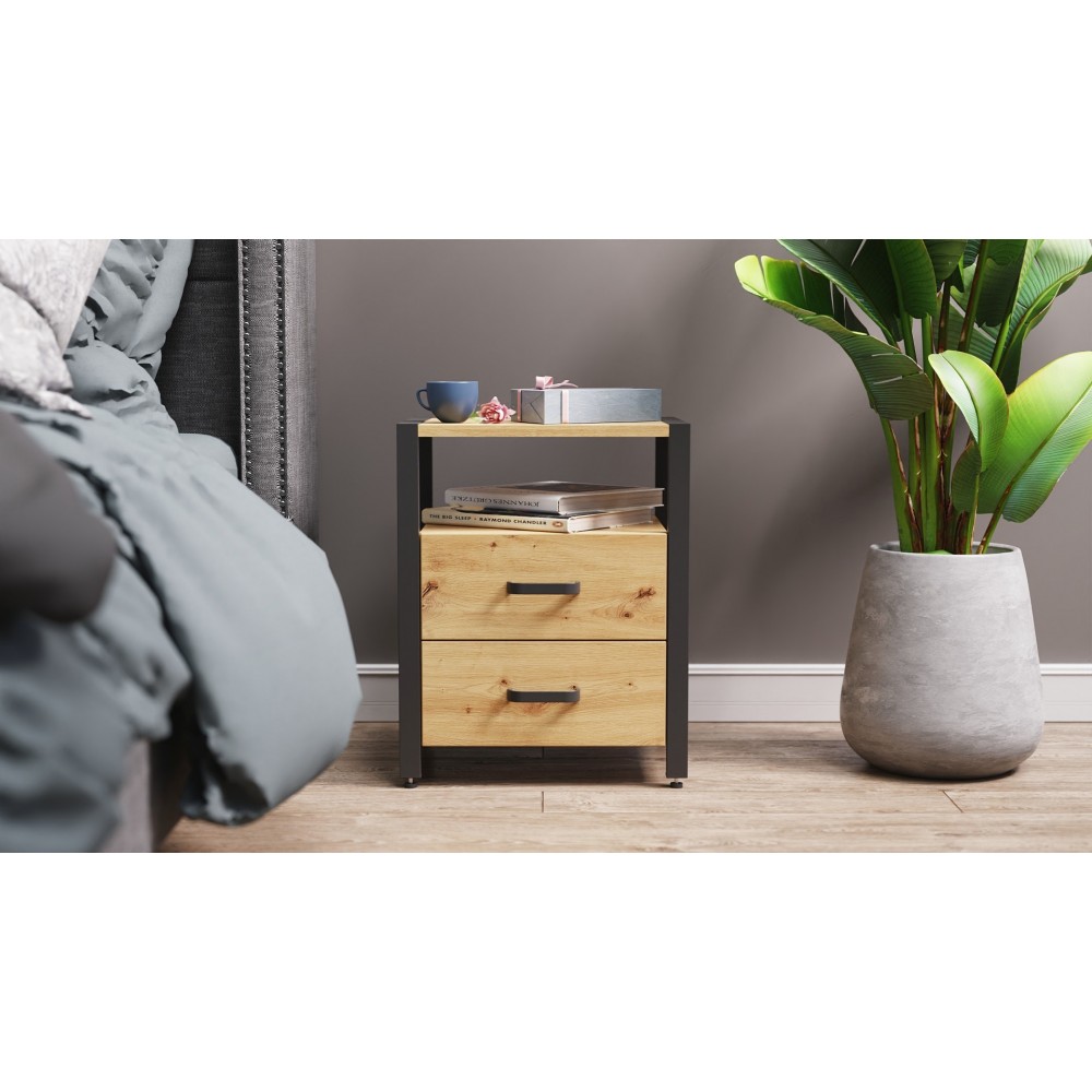 Тумба универсальная Ferrum-decor Вивьен 2/2 50x41x40 черный ДСП Дуб Артизан 16мм (FRD-106865)
