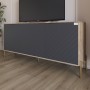 Тумба под телевизор с золотыми металлическими ножками LION Амарант 168x40x76,5 см Дуб сонома трюфель/Графитовый (LION-043082)