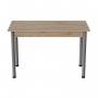 Стол кухонный Ferrum-decor Бенита 75x120x80 Серый ДСП Сан-Марино 16мм (FRD-105648)