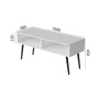 Тумба под ТВ Невада Ferrum-decor 45x100x38 Черный металл ДСП Белый 16 мм (FRD-106725)