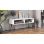 Тумба под ТВ Невада Ferrum-decor 45x100x38 Черный металл ДСП Белый 16 мм (FRD-106725)