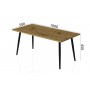 Стіл журнальний Монтана Ferrum-decor 45x100x50 Чорний метал ДСП Дуб Артизан 16 мм (FRD-106718)