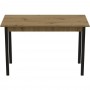 Стол кухонный Ferrum-decor Марио 75x120x70 Черный ДСП Дуб Артизан 16мм (FRD-105733)