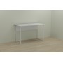 Письменный стол Ferrum-decor Коди 75x120x60 белый ДСП Белое 16мм (FRD-101191)