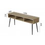 Тумба под телевизор Кентуки Ferrum-decor 45x139x38 Черный металл ДСП Дуб Сонома 16 мм (FRD-106730)