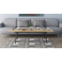 Стіл трансформер журнальний Dandi Small Ferrum-decor 45x120 160)x70 Чорний метал ДСП Дуб Артизан 16 мм (FRD-106800)