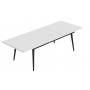 Стіл трансформер журнальний Dandi Small Ferrum-decor 45x120 160)x60 Чорний метал ДСП Білий 16 мм (FRD-106791)